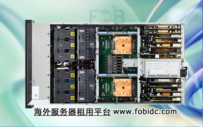 深入了解埃及服务器的带宽质量和速度表现