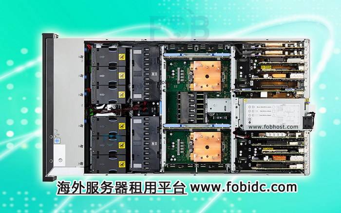 通过巴西VPS实现精准的市场调研与营销调整，助力数字营销提升效能